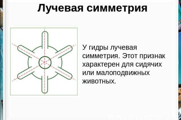 Кракен оренбург официальный