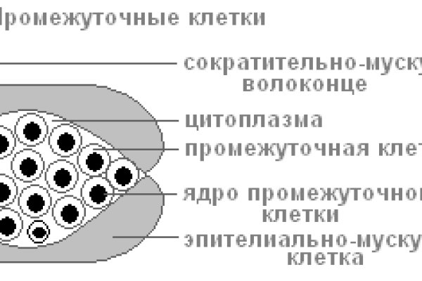 Кракен онион зеркало