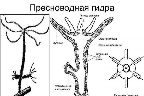 Кракен онион даркнет площадка